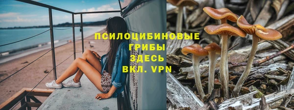 гидра Волгодонск